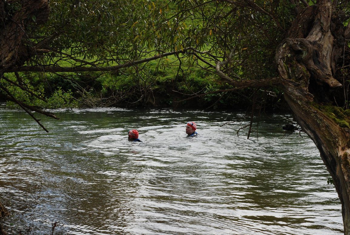 Two swimmers with swim hats in a river with overhanging old willow tree and grassy bank