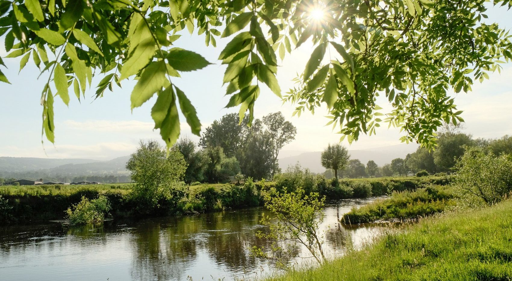 A river in summer with sun shining through overhead foliage, grassy banks and distant hills