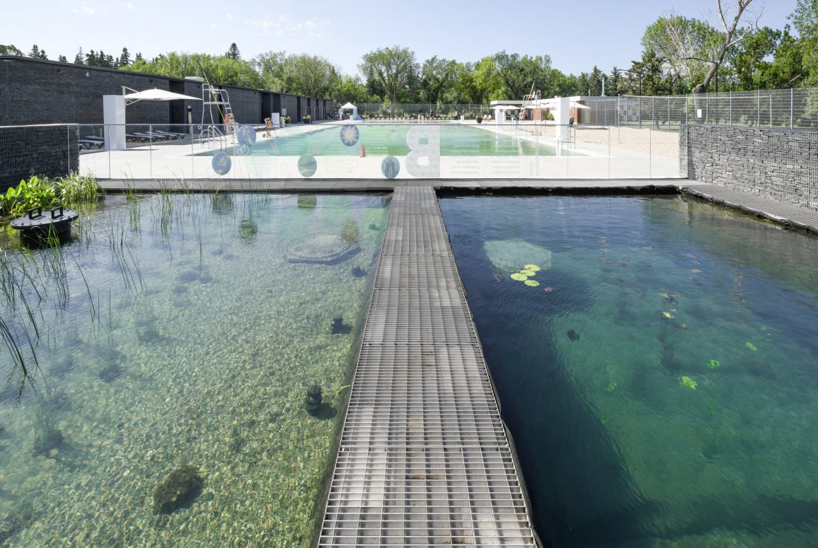 Canada’s first chemical-free public outdoor pool