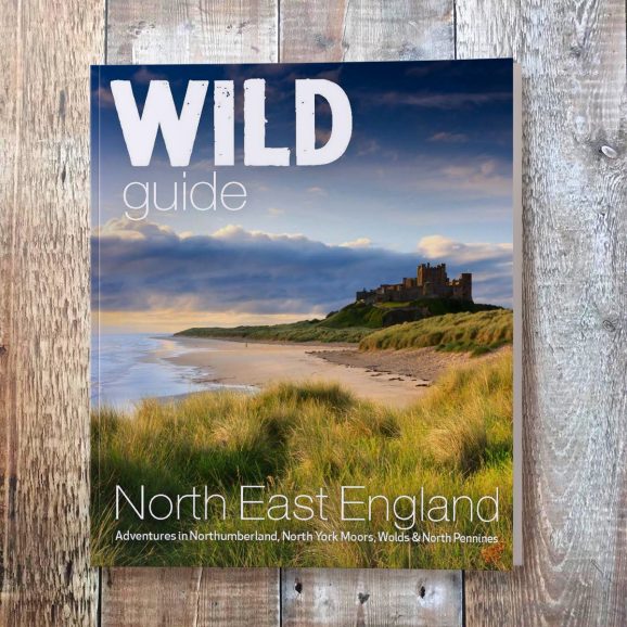 Cover of Wild Guide to North East England