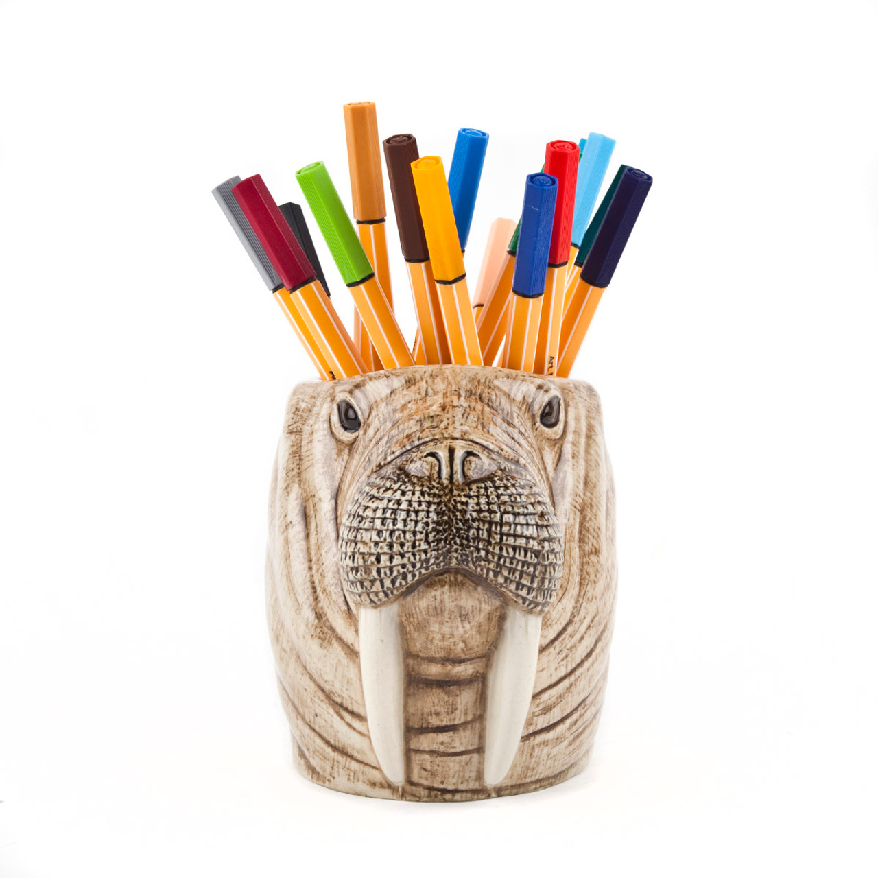 front view of a walrus head pot holding pens