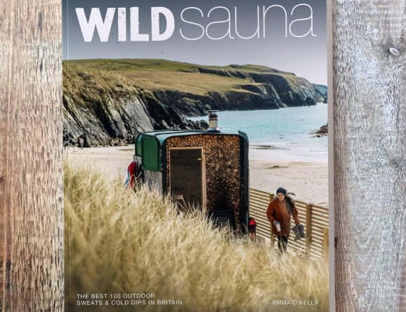 Front cover of Wild Sauna by Emma O'Kelly