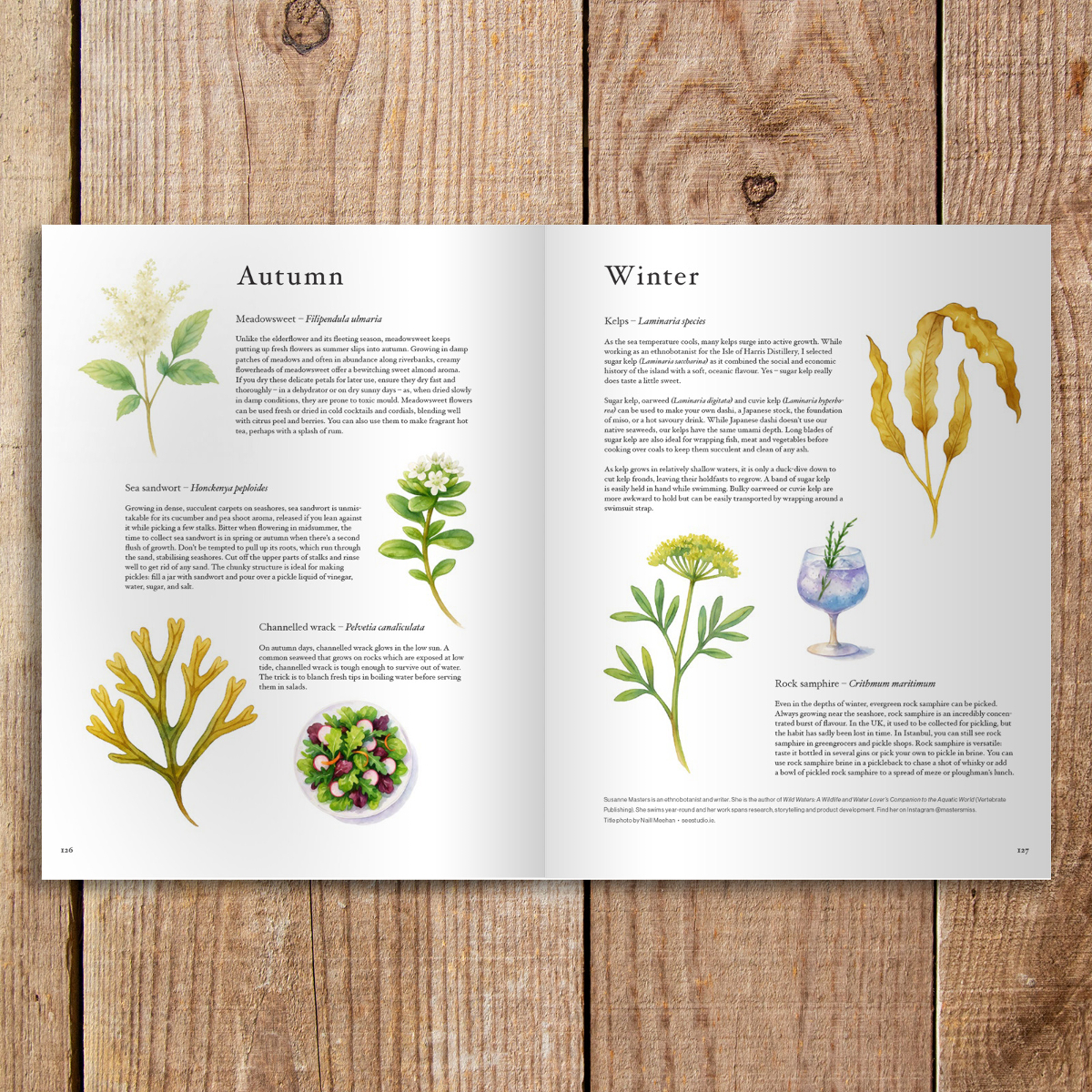 Interior spread from Elsewhere magazine